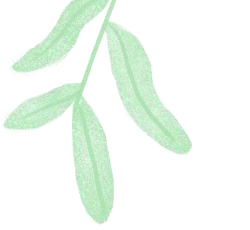 大学生恋爱心理问题:从众、攀比、嫉妒、猜疑,如何调适?