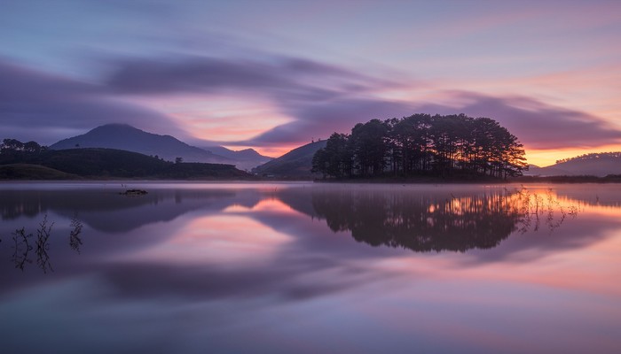 美国疫情政策最新消息及中国放宽入境限制相关情况