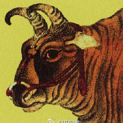 美国疫情数据为何让人看不懂？官方数据滞后成谜