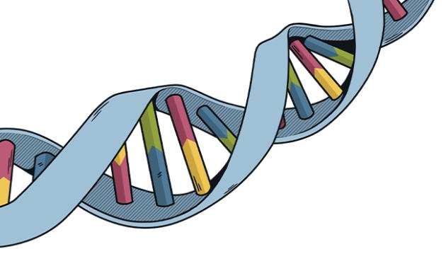 高考生物提分秘籍：站在出题人角度解题，轻松应对各种题型