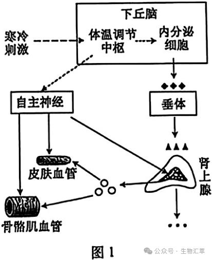 2025年安徽省普通高中学业水平选择性考试生物学试题及注意事项