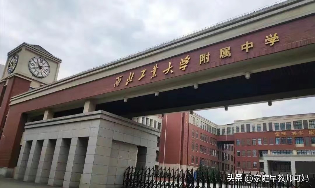 2023 年高考分数公布,多省高考状元成绩及分数线情况盘点