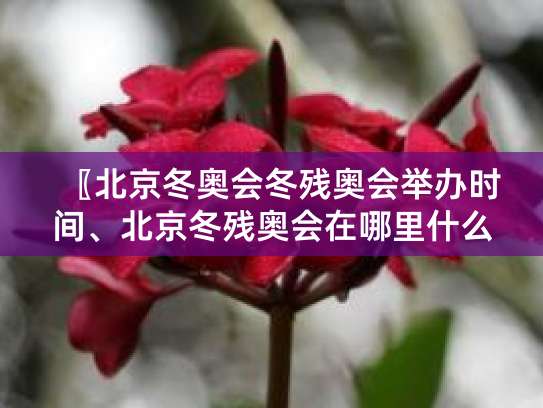 2022年冬奥会举办时间及与冬残奥会间隔时长介绍