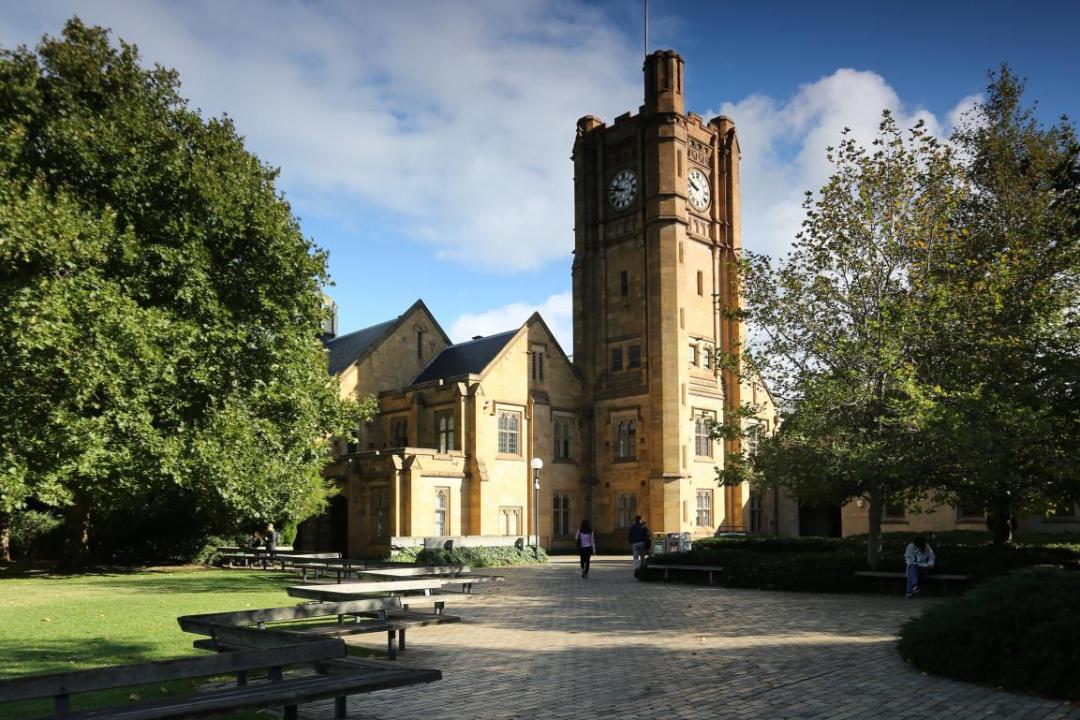 重庆大学举办全球教育交流周,助同学了解国际交流项目