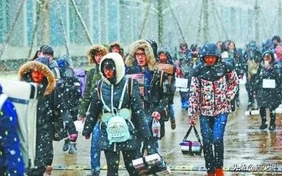 艺考不易!美术生备考心酸路,统考校考压力大花费高