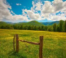 湖南少数民族高考加分 最新政策速查